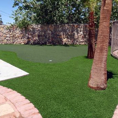 Synthetic Grass Stevinson, California Roof Top, Backyard Makeover