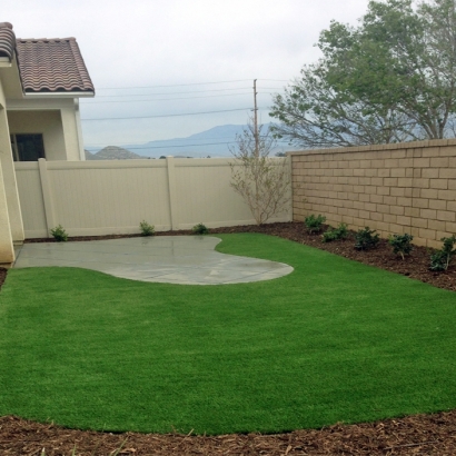 Synthetic Grass Valley Acres, California Landscaping, Backyard Landscaping