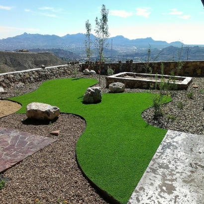 Synthetic Grass Valley Springs, California Paver Patio, Backyard Designs