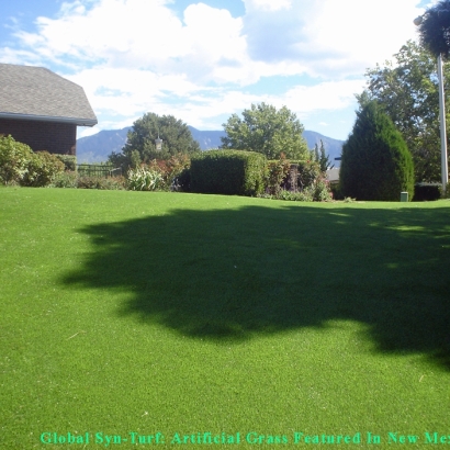 Synthetic Lawn Clovis, California Pictures Of Dogs, Small Backyard Ideas