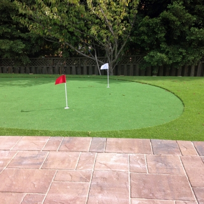 Synthetic Lawn Fairview, California Putting Green Flags, Backyard Landscaping Ideas