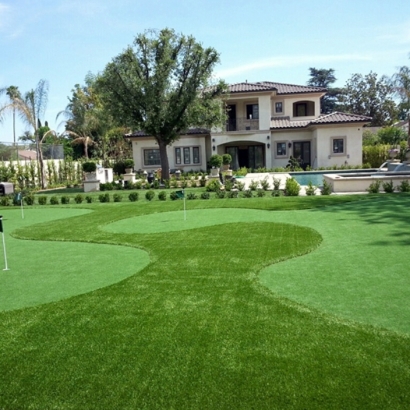 Synthetic Lawn Hornitos, California Putting Green Grass, Front Yard Ideas
