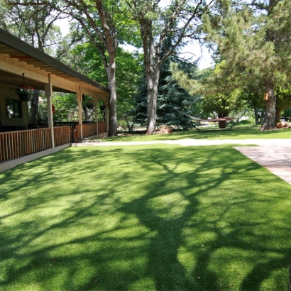 Synthetic Lawn Mountain Mesa, California Cat Playground, Backyard Landscaping