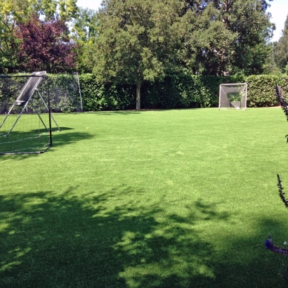 Synthetic Lawn Panorama Heights, California Rooftop, Small Backyard Ideas