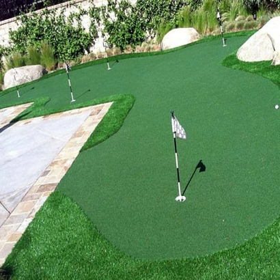 Synthetic Turf Bradley, California Landscaping Business, Backyard Design