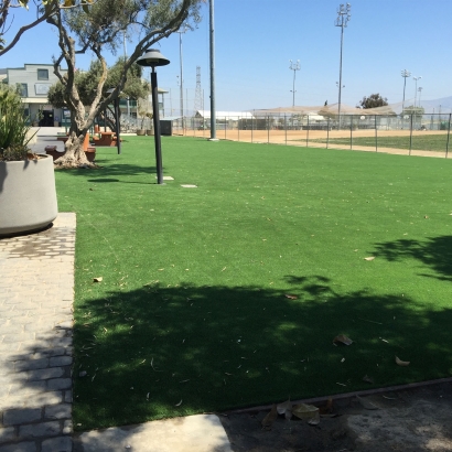 Synthetic Turf East Foothills, California Landscaping, Commercial Landscape