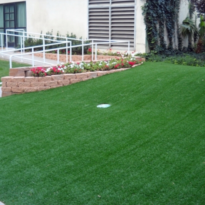 Synthetic Turf Supplier Atwater, California Diy Putting Green, Front Yard