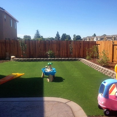 Synthetic Turf Supplier Hartland, California Lawn And Garden, Backyard Landscape Ideas