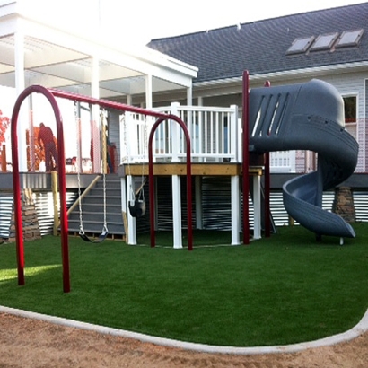 Synthetic Turf Supplier Richgrove, California Indoor Playground, Backyards