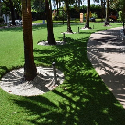 Synthetic Turf Supplier Round Valley, California Hotel For Dogs, Commercial Landscape