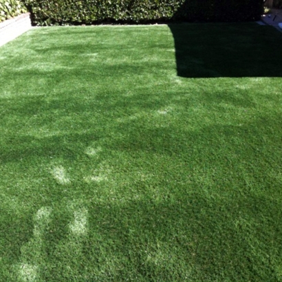 Turf Grass Fowler, California Landscape Ideas, Backyard Design