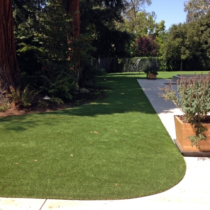 Turf Grass Mono Vista, California Dog Parks, Front Yard Landscape Ideas