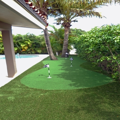 Turf Grass Spreckels, California Landscaping, Backyard Design