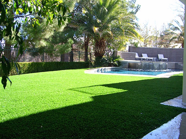 Artificial Grass Amesti, California Garden Ideas, Backyard Landscape Ideas