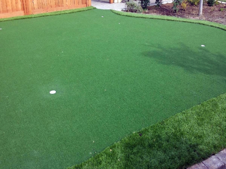 Artificial Grass Carpet Bonadelle Ranchos-Madera Ranchos, California Design Ideas