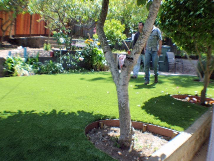 Artificial Grass Carpet Dorrington, California Landscaping, Small Backyard Ideas
