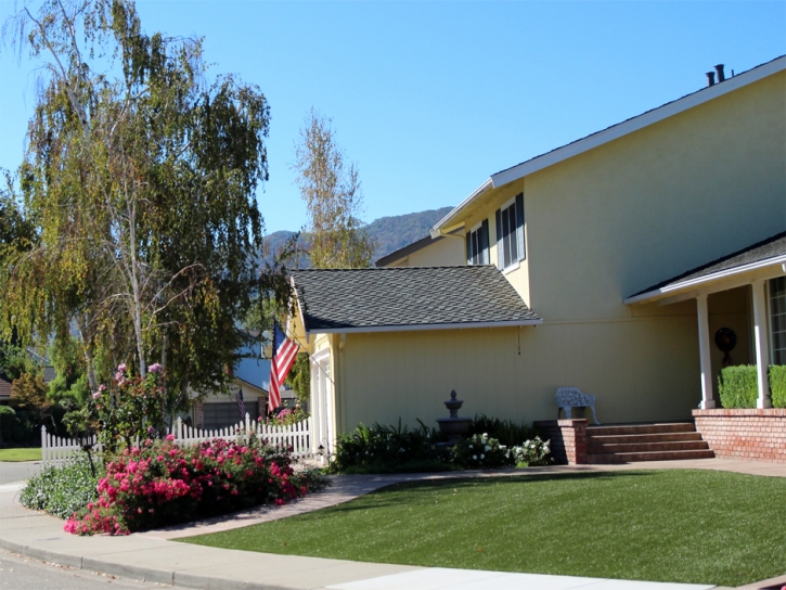Artificial Grass Carpet Fiddletown, California Lawn And Garden, Front Yard Landscaping Ideas