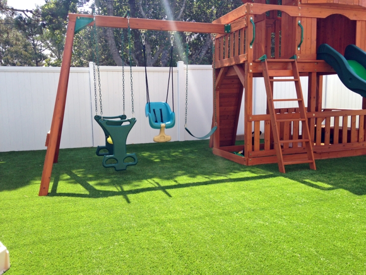 Artificial Grass Carpet Mokelumne Hill, California Playground, Small Backyard Ideas