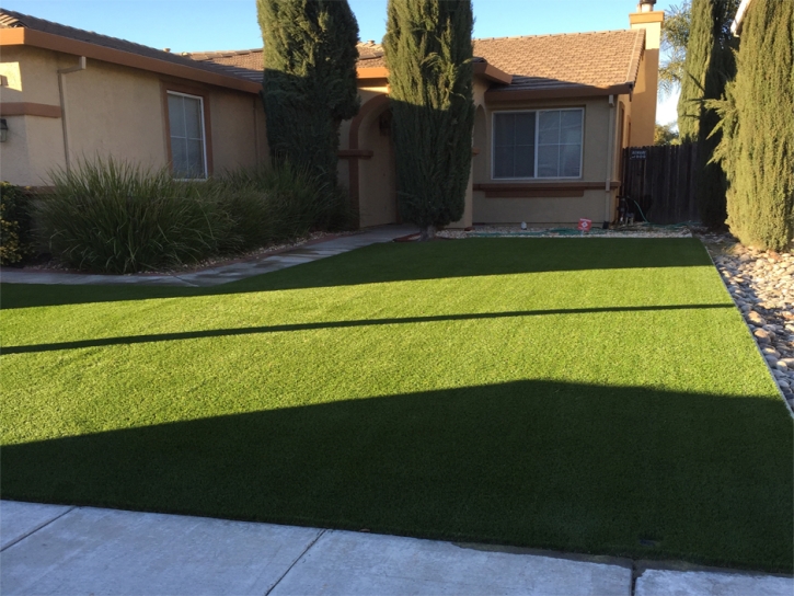 Artificial Grass Castroville, California Landscape Ideas, Landscaping Ideas For Front Yard