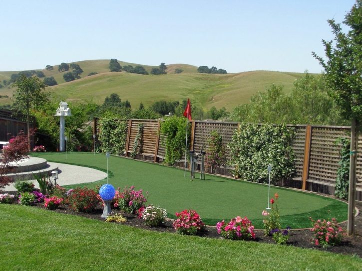 Artificial Grass Denair, California Putting Green Grass, Backyard Designs