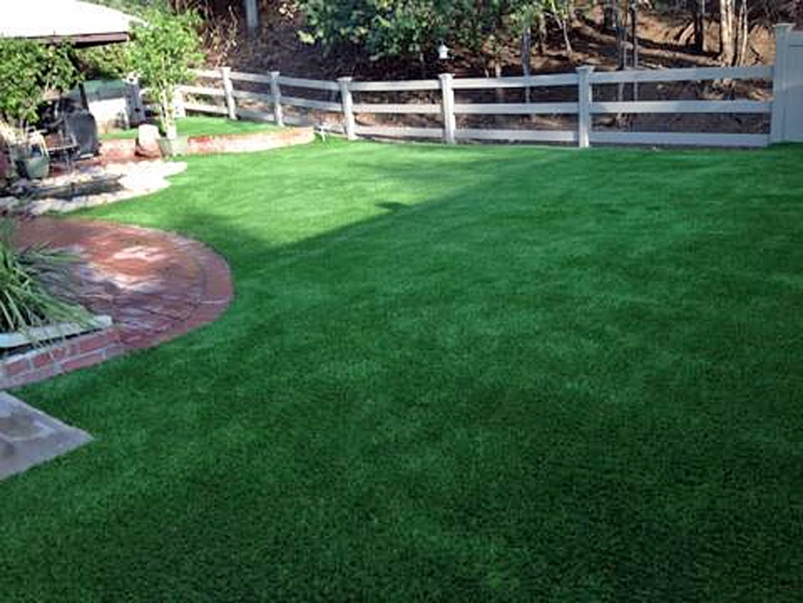 Artificial Grass Installation Allensworth, California Artificial Grass For Dogs, Backyard Ideas