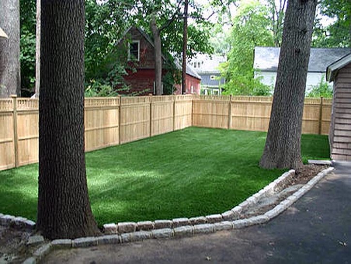 Artificial Grass Installation Capitola, California Gardeners, Small Backyard Ideas