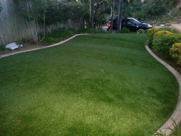 Artificial Grass Installation Wallace, California Lawn And Landscape, Front Yard Landscape Ideas