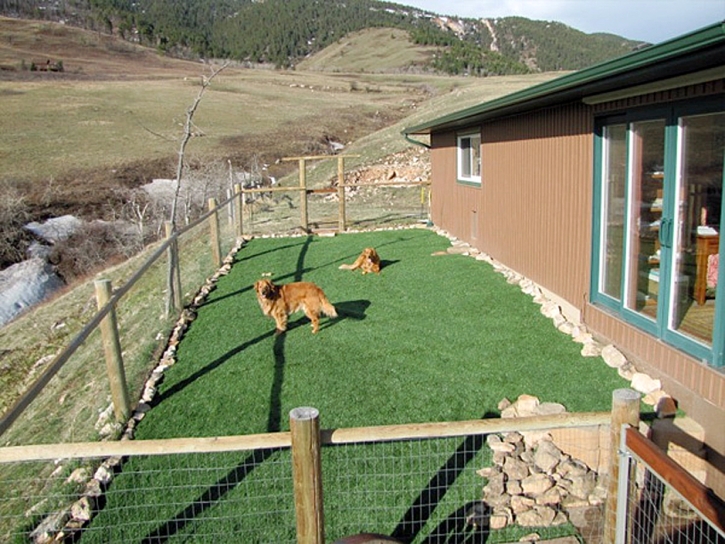 Artificial Grass Installation Waukena, California Home And Garden, Backyard Designs