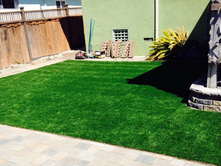 Artificial Grass Lincoln Village, California Dog Pound, Backyard Ideas