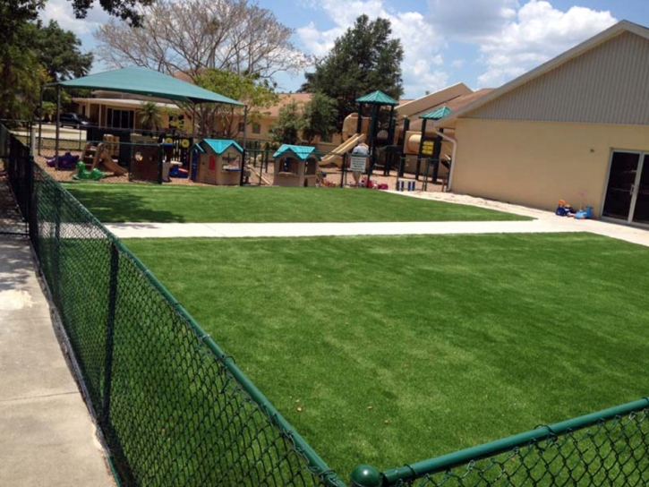 Artificial Grass McFarland, California Roof Top, Commercial Landscape