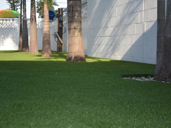 Artificial Grass Taft Mosswood, California Landscape Photos, Commercial Landscape