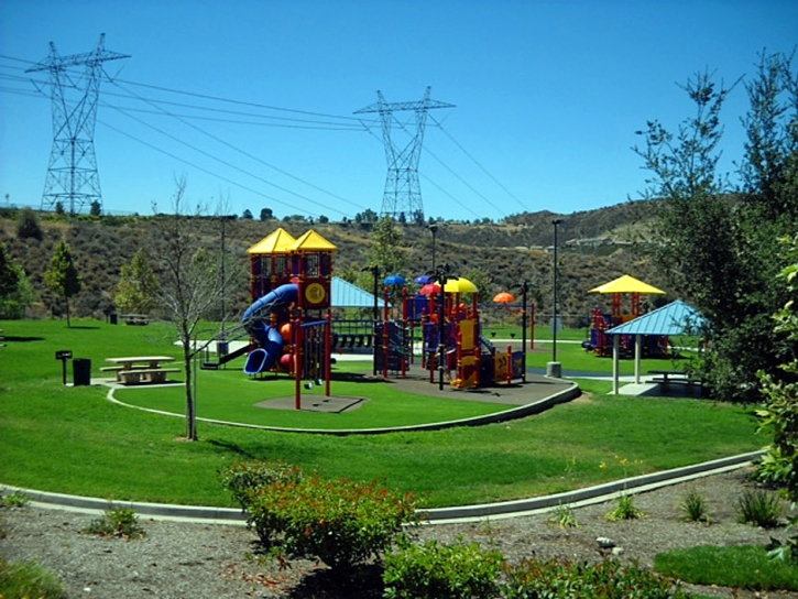 Artificial Lawn La Vina, California Paver Patio, Recreational Areas
