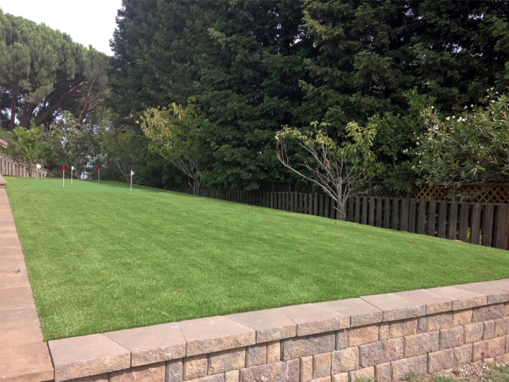 Artificial Turf Cost Antioch, California Office Putting Green, Backyard Designs