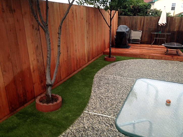 Artificial Turf Cost Greenacres, California Hotel For Dogs, Backyard Landscaping Ideas