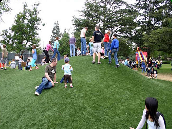 Artificial Turf Cost Milpitas, California Athletic Playground, Recreational Areas