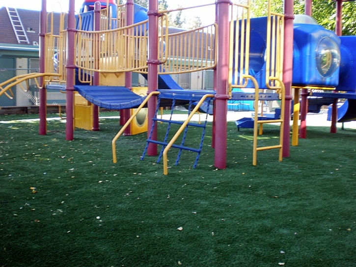 Artificial Turf Cost Ponderosa, California Design Ideas, Commercial Landscape