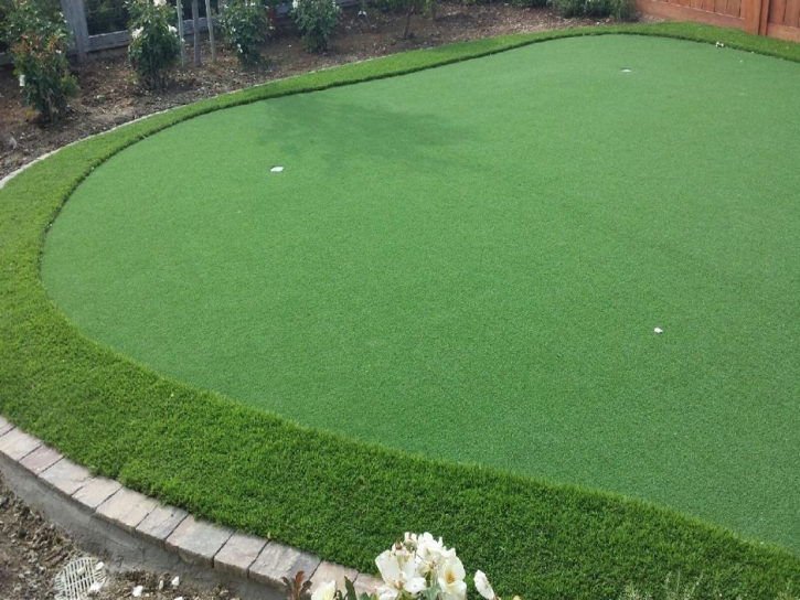 Artificial Turf Cost Twain Harte, California Home Putting Green, Backyard Ideas