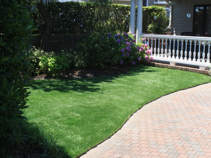 Artificial Turf Cost Vineyard, California Cat Playground, Front Yard Landscaping