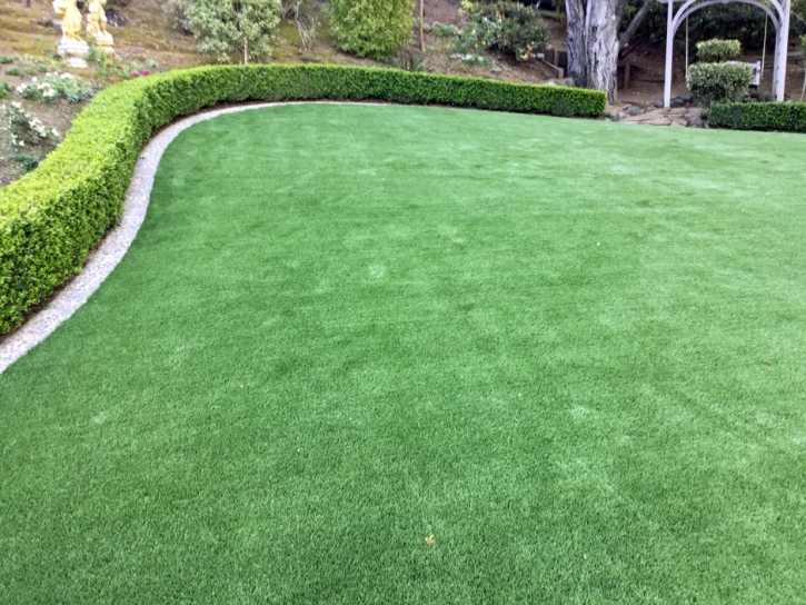 Artificial Turf Ford City, California Design Ideas, Backyard Designs