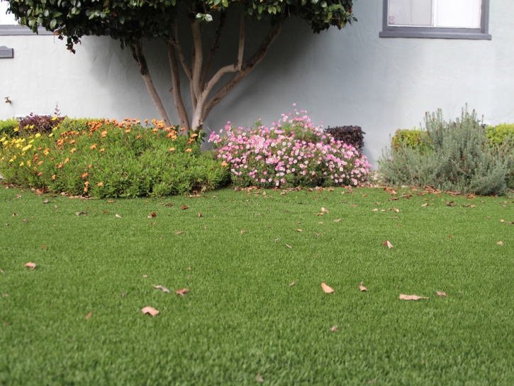 Artificial Turf Installation Pajaro, California Gardeners, Front Yard