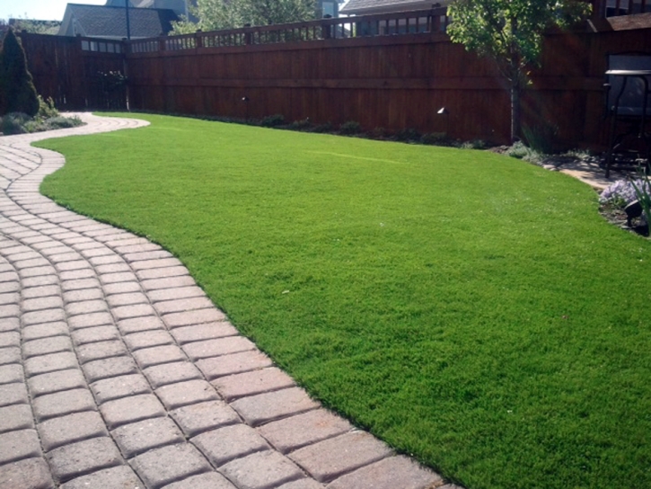 Artificial Turf Nipinnawasee, California Grass For Dogs, Backyard Landscaping Ideas