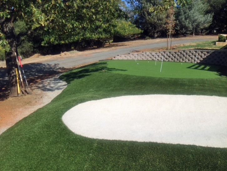 Artificial Turf Orosi, California Indoor Putting Greens, Front Yard Landscaping