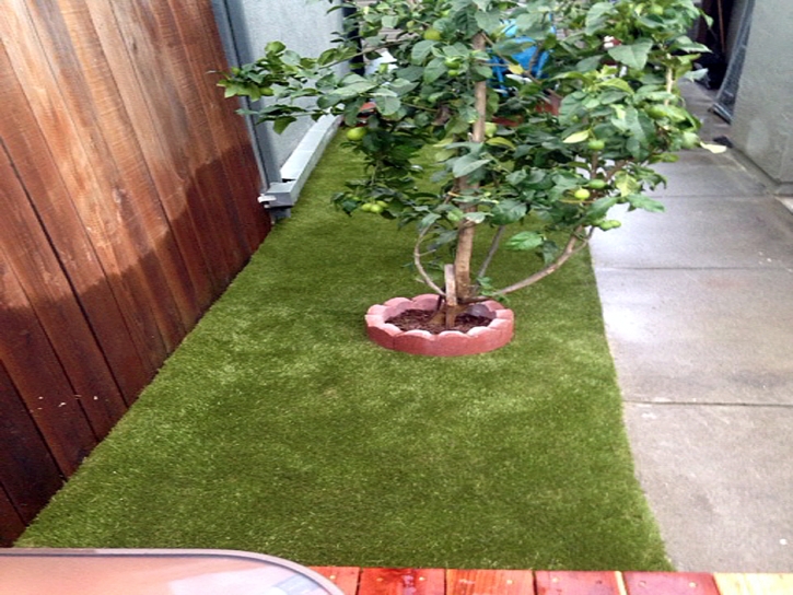 Best Artificial Grass Kernville, California Watch Dogs, Backyard Landscaping