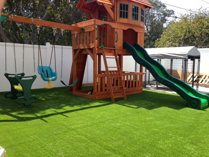 Best Artificial Grass McKittrick, California Playground Turf, Backyard Garden Ideas