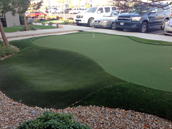 Best Artificial Grass Monmouth, California Design Ideas, Commercial Landscape