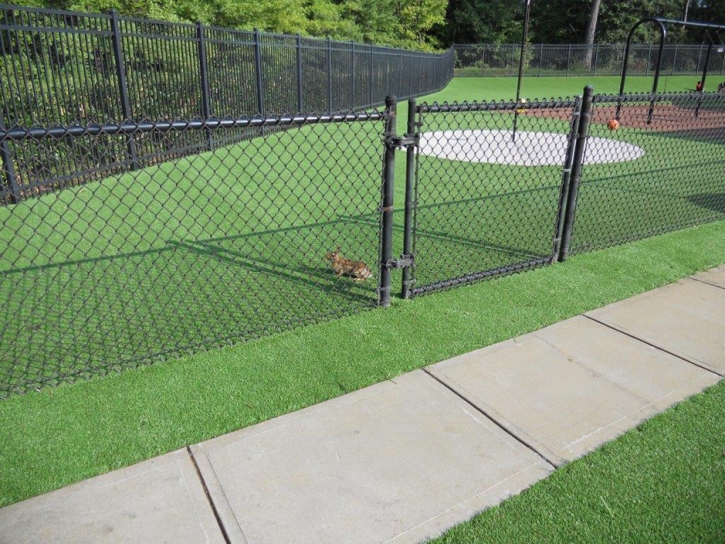 Fake Grass Carpet Lake Nacimiento, California Kids Indoor Playground, Recreational Areas