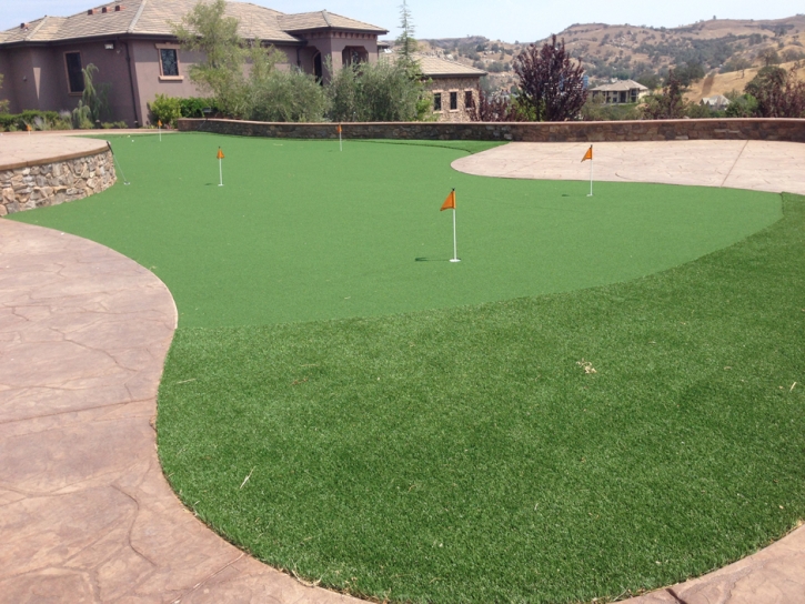 Fake Grass Carpet Las Lomas, California Putting Greens