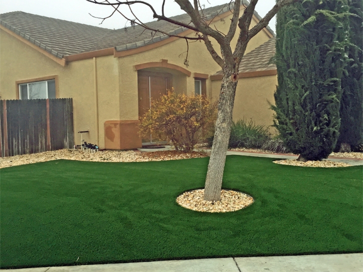 Fake Grass Carpet Lathrop, California Garden Ideas, Front Yard