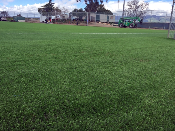 Fake Grass Murphys, California Sports Athority