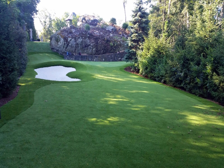Fake Lawn Coulterville, California Putting Green Turf, Commercial Landscape